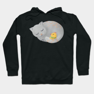 Cat sleeping with small bird - kids illustration Hoodie